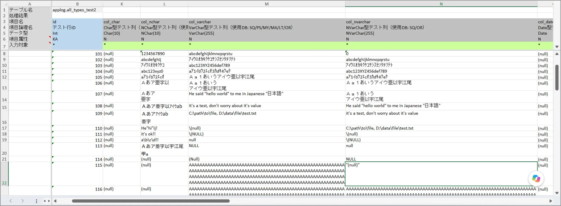 文字型項目のデータ設定例