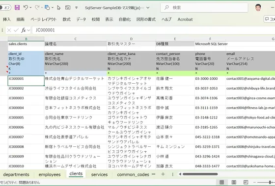 リッチな入力シートの画面キャプチャ